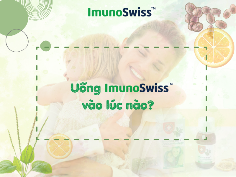 Uống ImunoSwiss vào lúc nào?