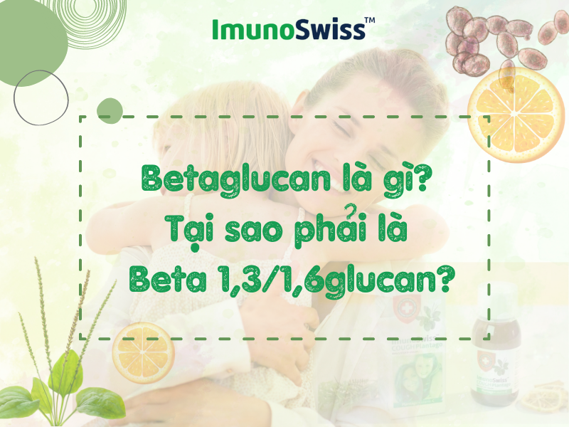 Betaglucan là gì? Tại sao phải là beta 1,3/1,6glucan?