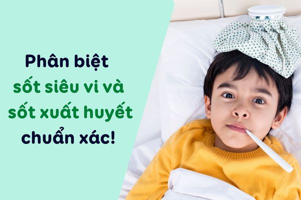 Phân biệt sốt siêu vi và sốt xuất huyết chuẩn xác nhất ?